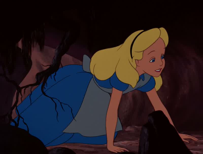 And curiosity often leads to trouble