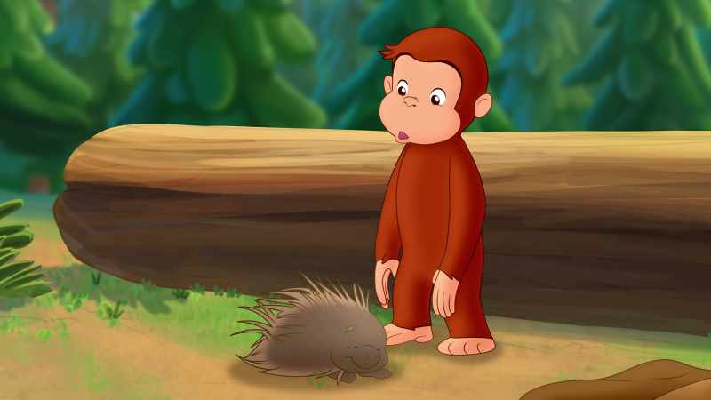 (Curious George chattering)