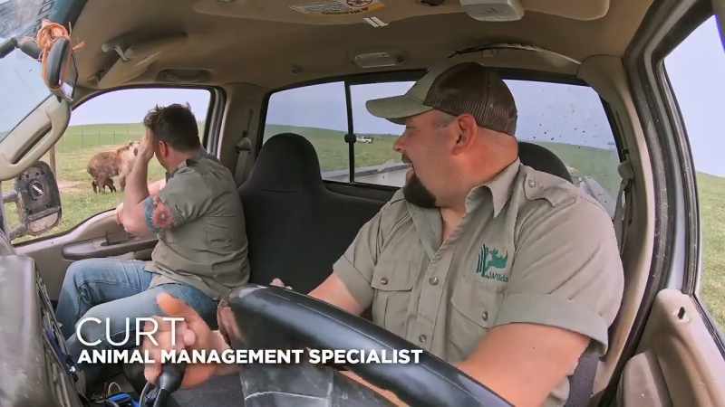 Curt: Immediately, he's back to where he knows he's safe
