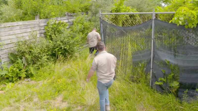 Curt: The reason krypto's not out with our big herd