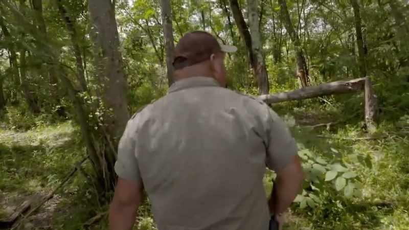 �� curt: Walking through the takin woods ♪♪