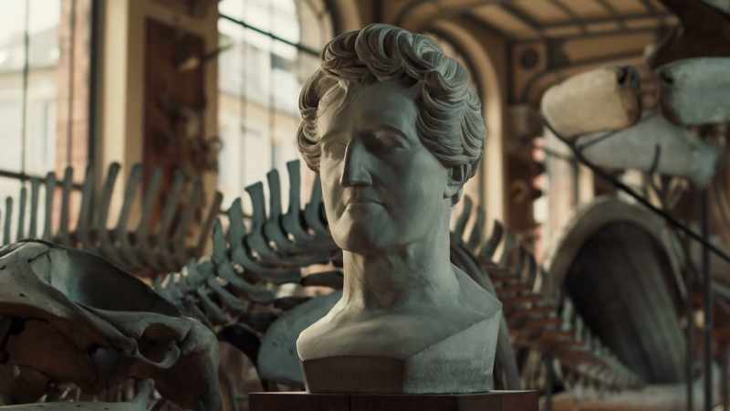 Cuvier's idea, that there could be species