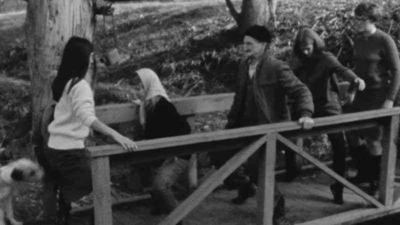Czego chcemy się dowiedzieć