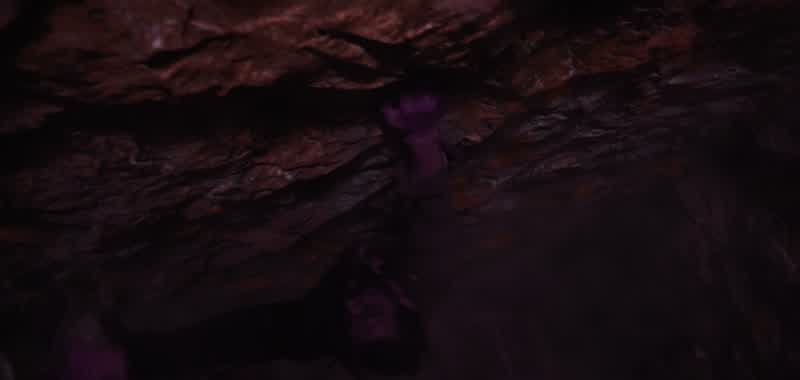 Dad! -He's climbing