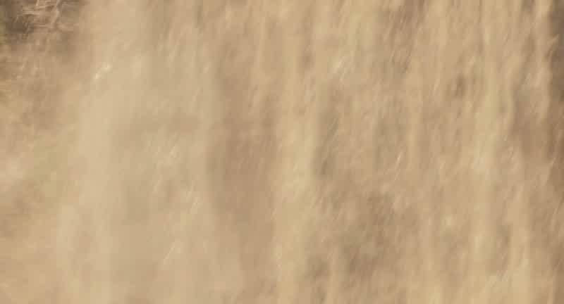 Dad! I knew you could ride