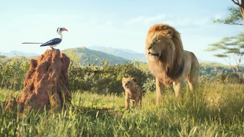 Dad let me come I can helpNo son You stay with the other cubs