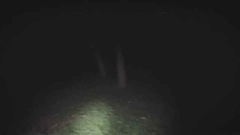 (dad panting) (crickets chirping)