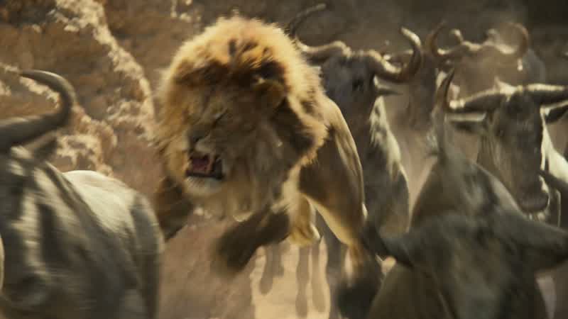 Dad! Simba! Come to me, son. Jump!