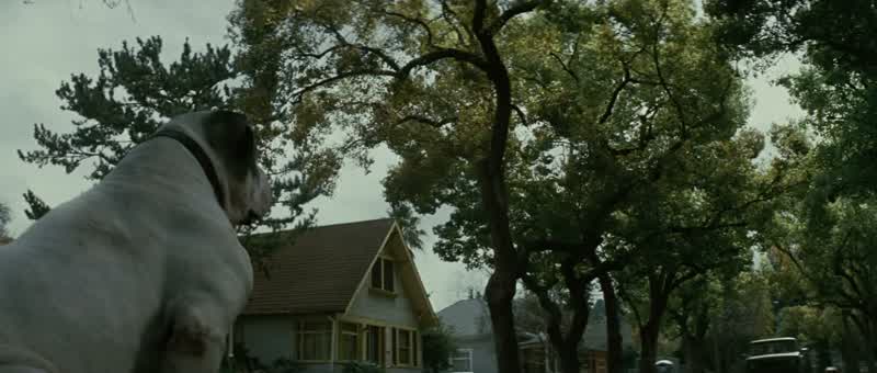 DAD! - WALTER!
