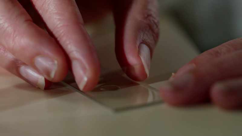 [Dafna] We were able to count for each sample