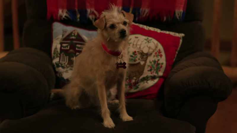 Dahlia and I are spending Christmas this year