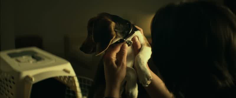 Daisy. Of course
