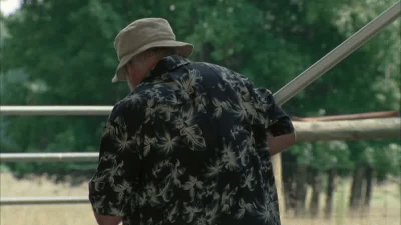 Dale, here's some peaches for you