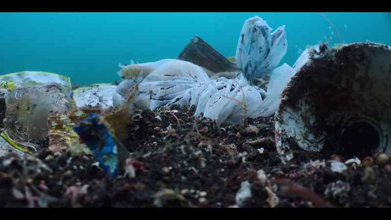 Damaging ocean health