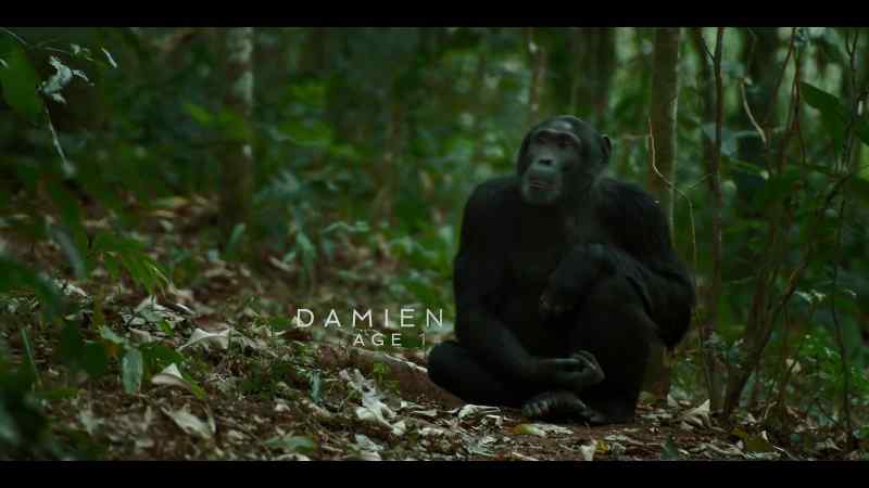 Damien is his younger brother