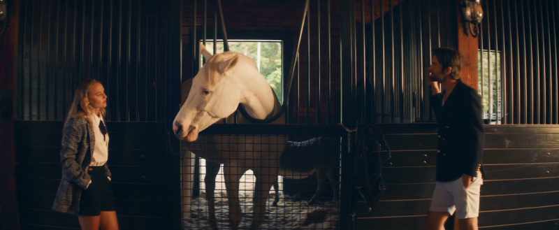 Damn, I remember when we bought you this horse