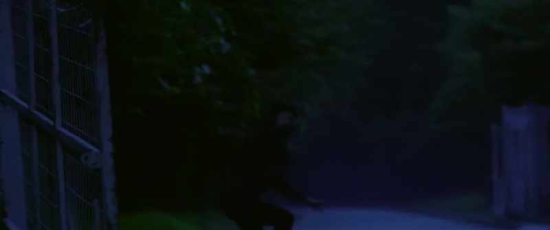 Damn, Kang Dong-chul! You crazy bastard!