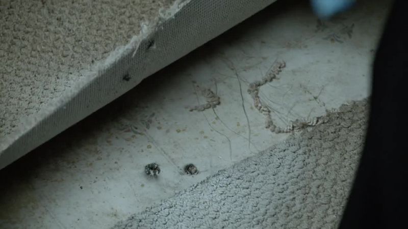 Damn. Linoleum underneath