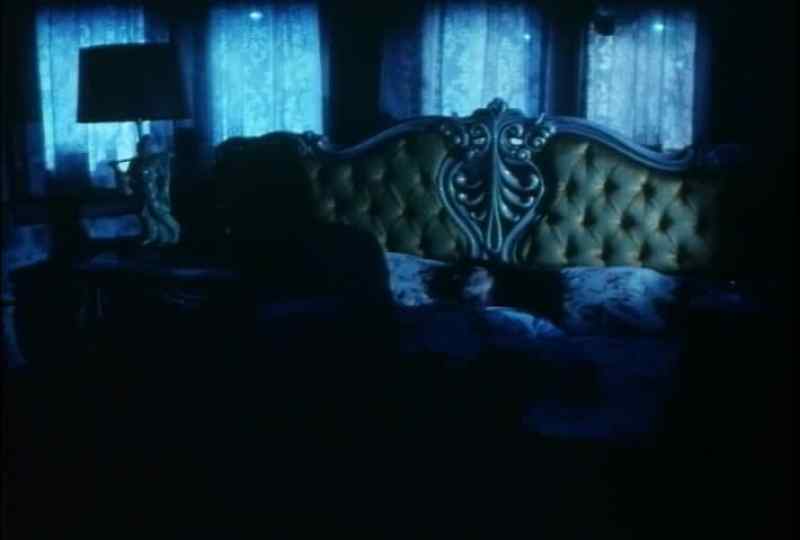 Damn owls