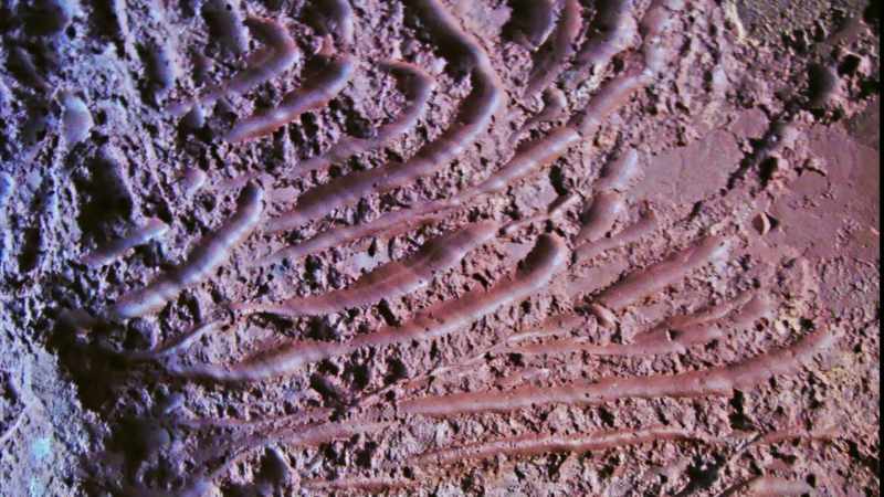 [Dan] Even as a geologist
