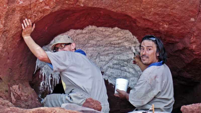 [Dan] Local paleontologists are thrilled to share
