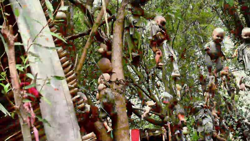[Dan] Thousands of dolls hung from trees?