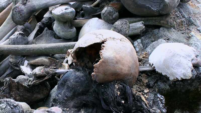 [Dan] What caused these mysterious deaths