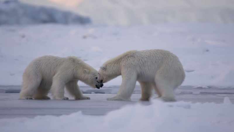 Dancing on ice
