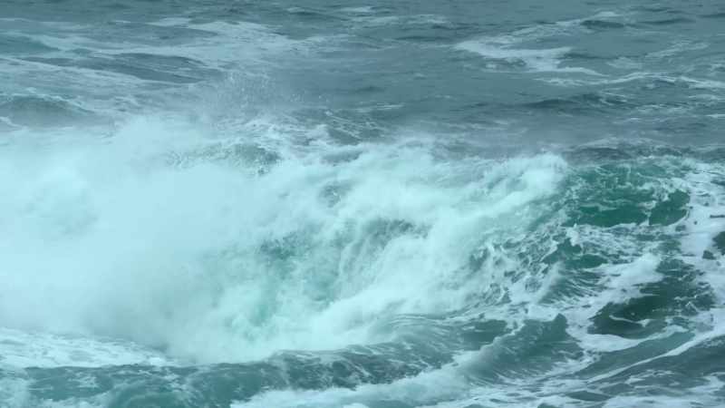 Danger in the ocean doesn't only come from deadly hunters