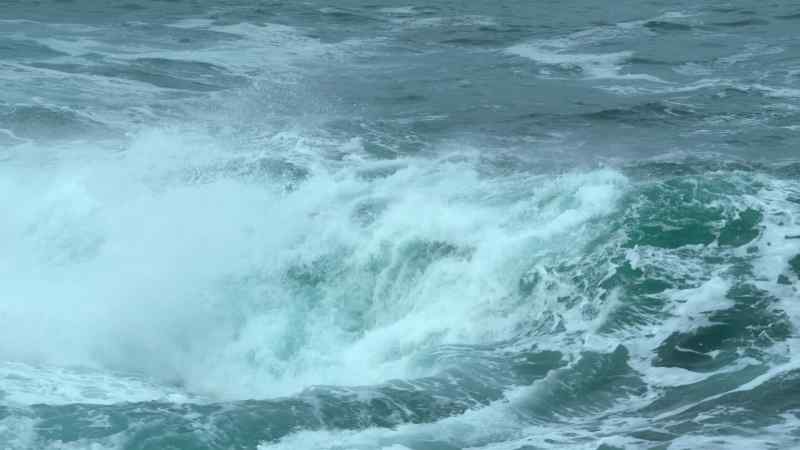 Danger in the ocean doesn't only come from deadly hunters