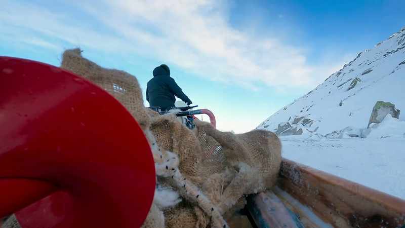 DANIEL: Hopefully we'll get a polar bear out there