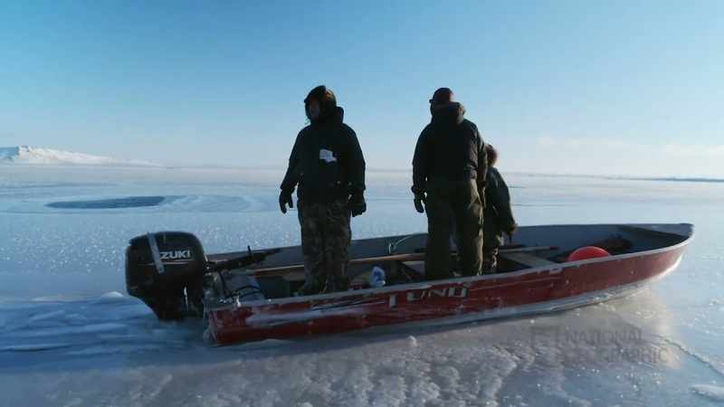 DANIEL: So far we've only seen walrus in the water