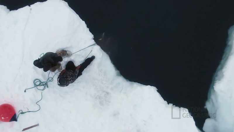DANIEL: We're gonna pull the walrus up with the help