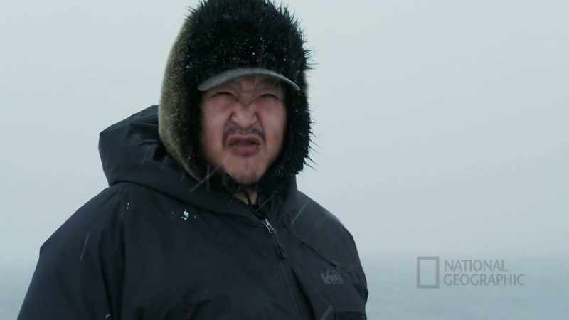 DANIEL: Yesterday, lots of walrus nearby