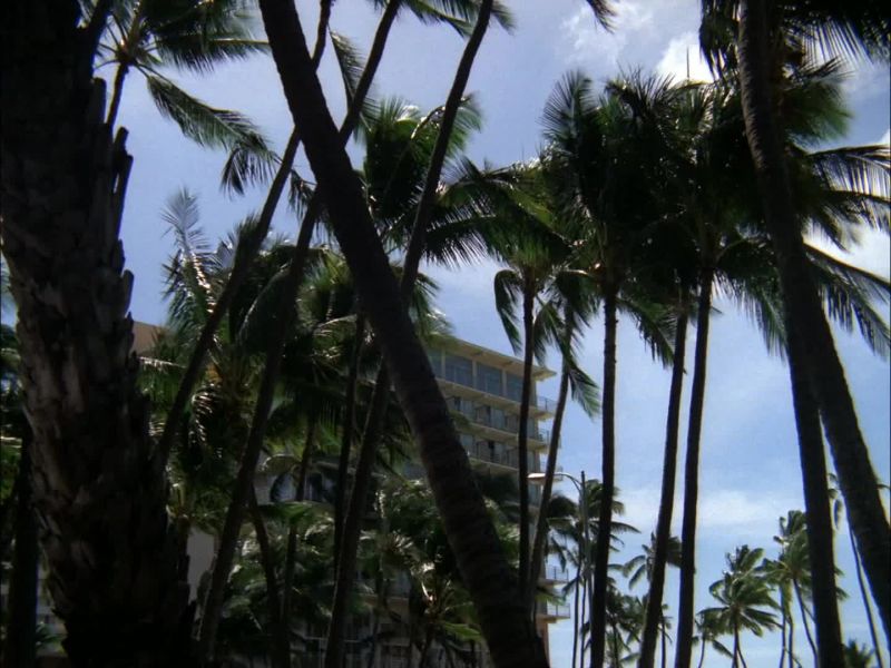 DANNO, LOOK AT THAT ROOF
