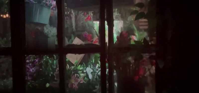 Danny's Flowers... so nice