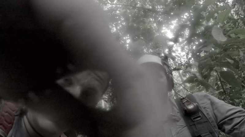 [Darin] Scratching, fighting through jungles