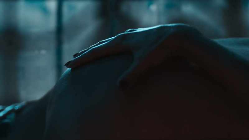 Daring, avid, exquisite, 