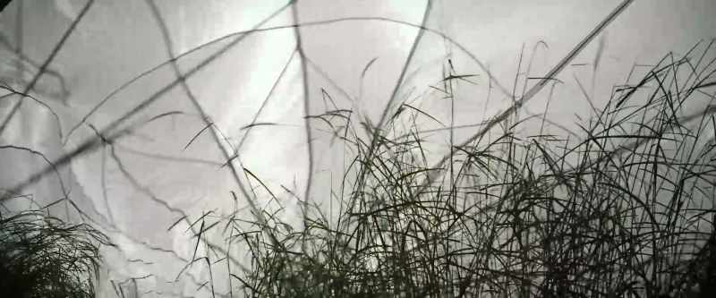 (dark ambient music)