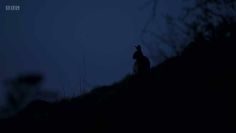 Darkness does nothing