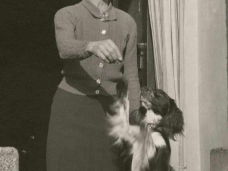 Darling, if you don't come over as soon as the war ends