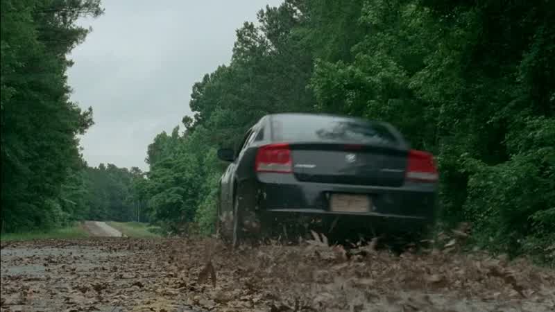 Daryl: Hey, I know you weren't running off