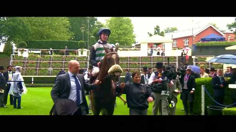 Dashing Willoughby was a relatively inexpensive buy