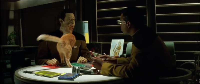 Data whatever possessed you to push her in the water in the first place