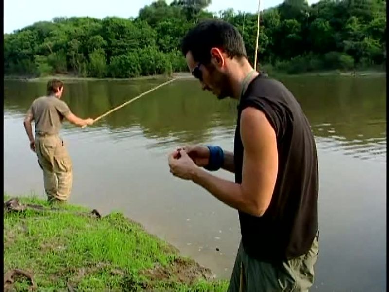DAVE: Got one