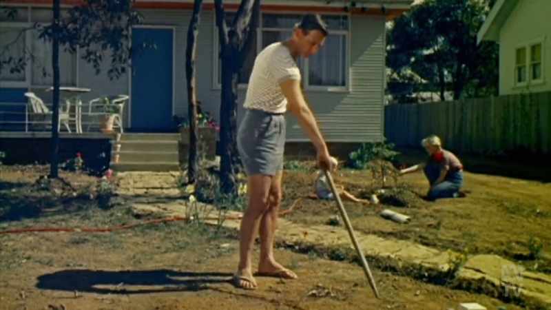 DAVID HUNT: A beaut house on a quarter-acre block
