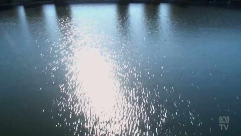 DAVID HUNT: Water
