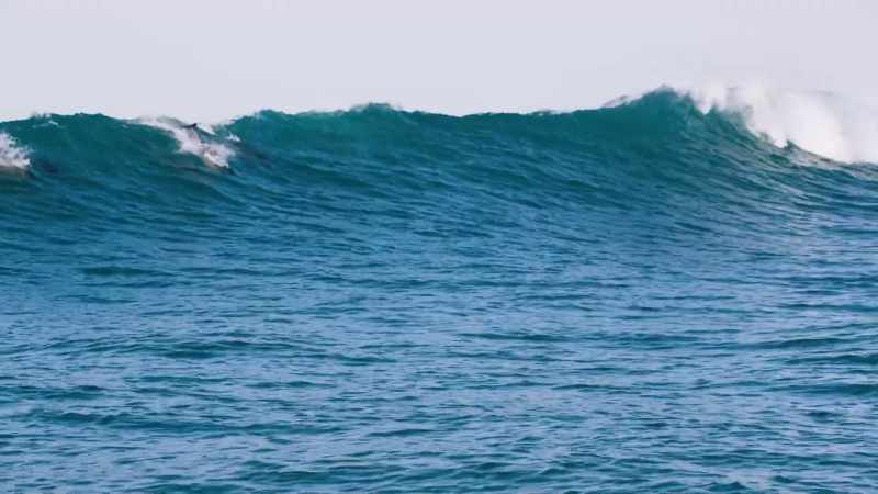 DAVID: In these waves