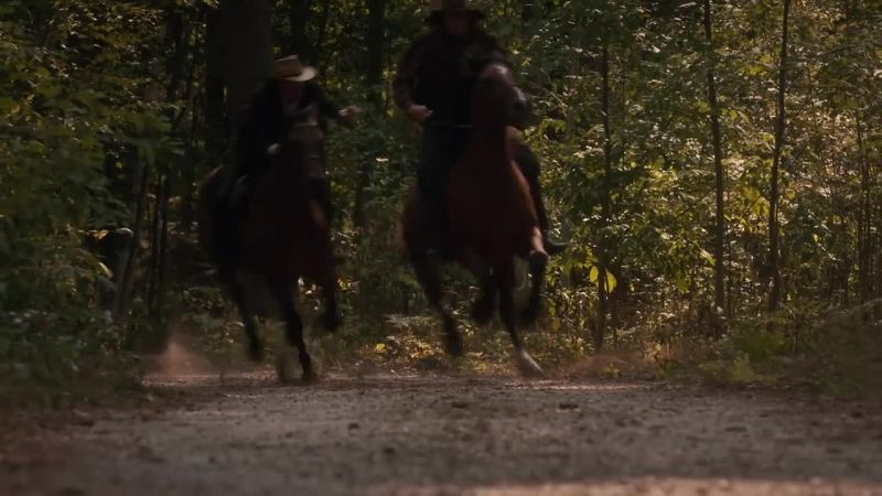 David Johnson, reign in your horse!