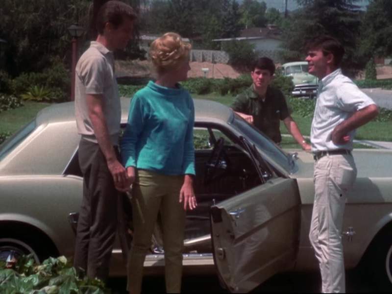 DAVID Susan Susan Turner